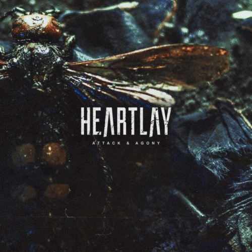 Heartlay : Attack & Agony